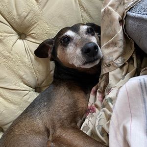 Meet your Posher, Nina